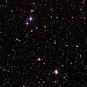 Meet your Posher, Venus